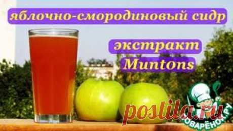 Яблочно-смородиновый сидр. Экстракт-Muntons - кулинарный рецепт