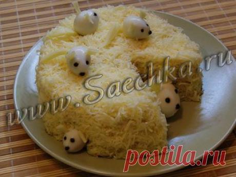 Салат &quot;Монастырский&quot; | рецепты на Saechka.Ru