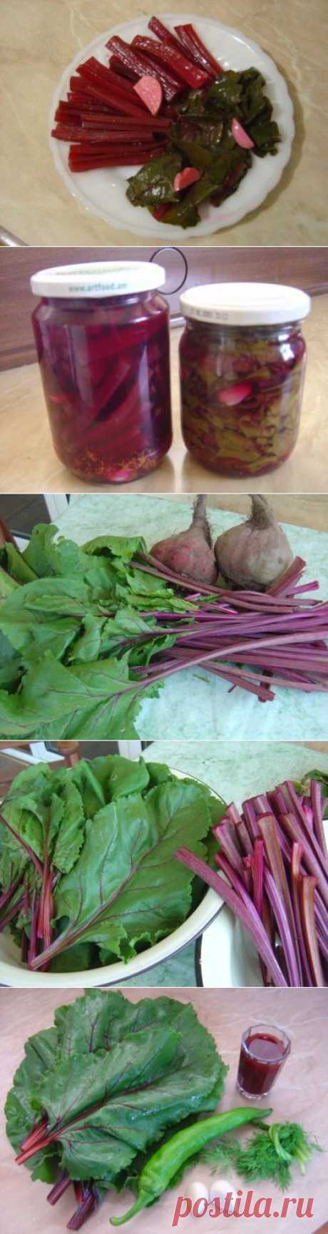 Свекольная ботва маринованная (“вершки” и ”корешки”!) : Разное