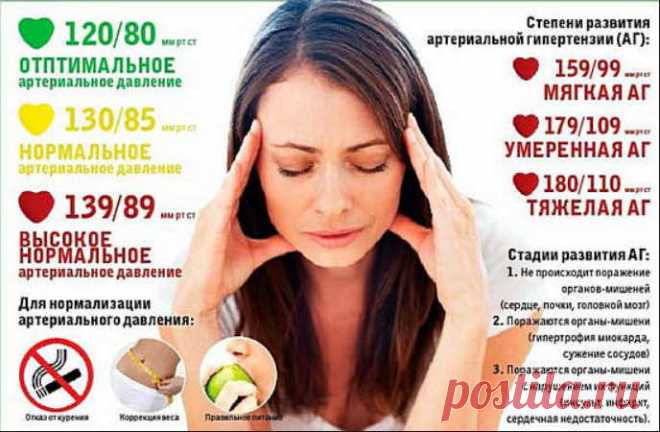 Простые рецепты снижения давления: как без аптеки и врача победить гипертонию