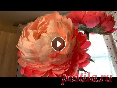 Огромный Ростовой цветок своими руками. A huge growth flower with your own hands. Приветствую на канале Цветы своими руками. Сегодня буду проводить видео мастер класс по огромному ростовому цветку. И каждый кто хочет сможет сделать ...