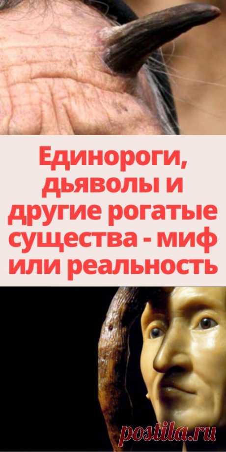 Единороги, дяволы и другие рогатые существа - миф или реальность - My izumrud