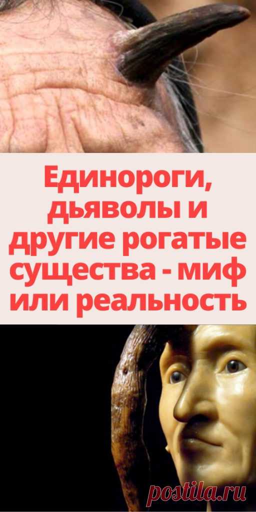 Единороги, дяволы и другие рогатые существа - миф или реальность - My izumrud