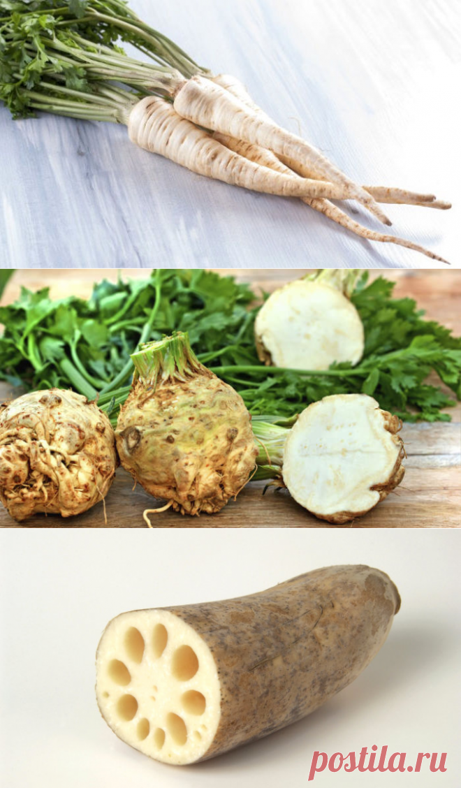 9 странных, но полезных корнеплодов &raquo; ОКО ПЛАНЕТЫ информационно-аналитический портал