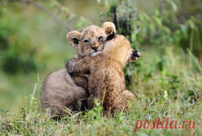 Мой Мир@Mail.Ru