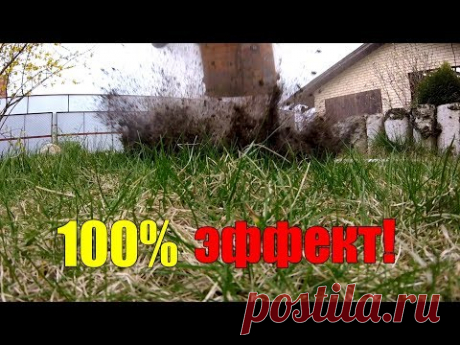 Борьба с кротами РЕВОЛЮЦИОННЫЙ метод - YouTube