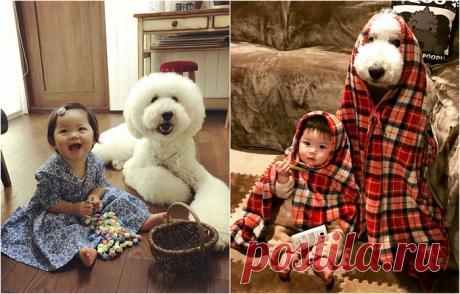 Очаровательная парочка: маленькая японская девочка и ее пудель