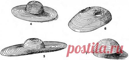 Как сплести из соломенных лент шляпы.