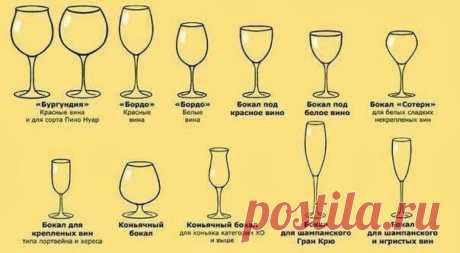 полезные советы инфографика: 4 тыс изображений найдено в Яндекс.Картинках