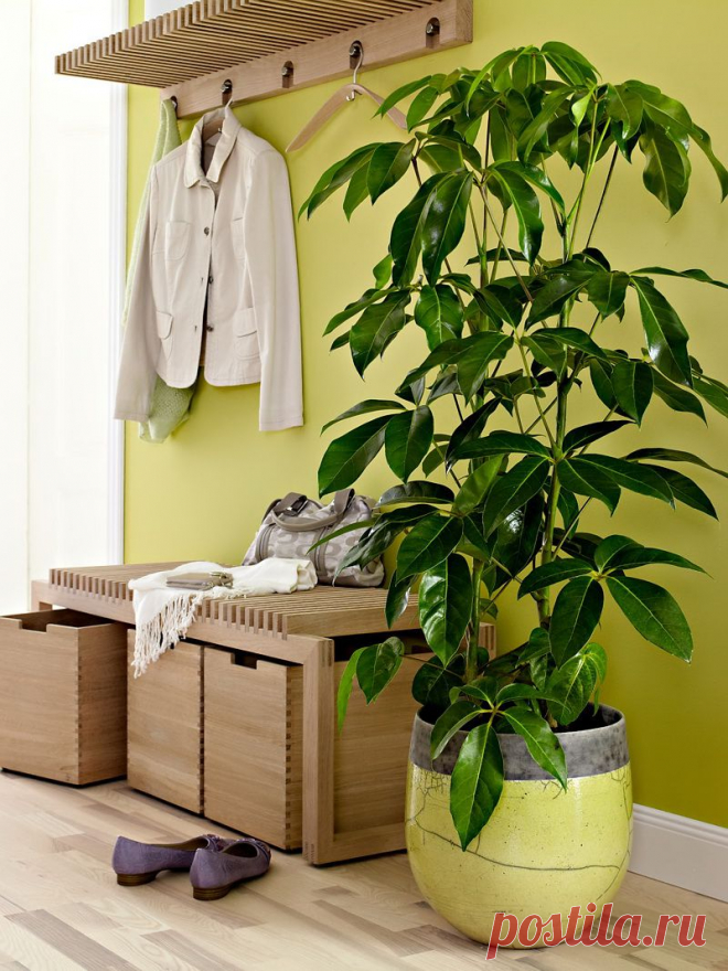 *Дизайн и декор* - Детали: комнатные цветы