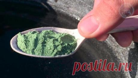 Весной пролейте этим почву. 1 Ложка на ведро и земля станет чистой и плодородной. Полейте этим для здорового и крепкого урожая. | ГЕНЕРАЛЬСКИЙ САД | Дзен