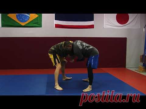 Online MMA Training