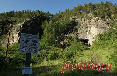 Жители Тибета унаследовали «горные» гены от жителей алтайской Денисовой пещеры - Русская планета