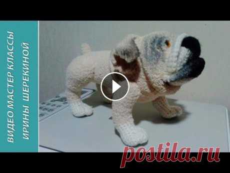 Собака Английский бульдог или Мопс,ч.1.  English Bulldog оr Pug, р.1.  Amigurumi. Crochet. Поблагодарить меня за работу можно по ссылке To thank me for the work, you can link to...