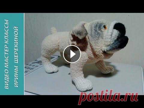 Собака Английский бульдог или Мопс,ч.1.  English Bulldog оr Pug, р.1.  Amigurumi. Crochet. Поблагодарить меня за работу можно по ссылке To thank me for the work, you can link to...