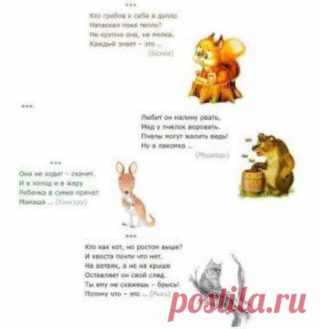 Загадки-рифмы про животных