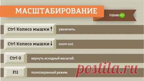 Самые полезные клавиатурные сокращения, которые работают в любом браузере