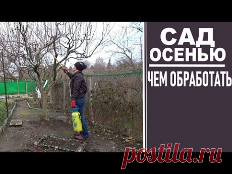 Чем обработать сад на зиму  Осенняя обработка сада мочевиной