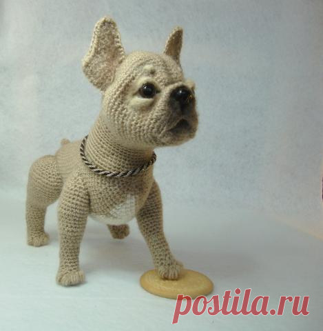 Бульдог