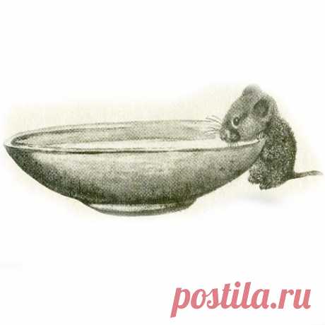 МУЗЫКА