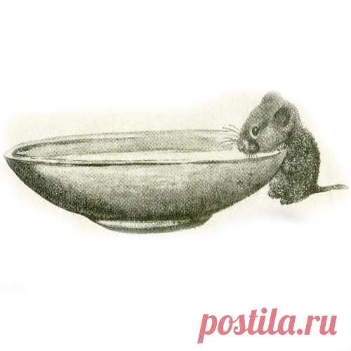 МУЗЫКА