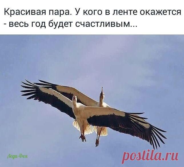 Без комментария