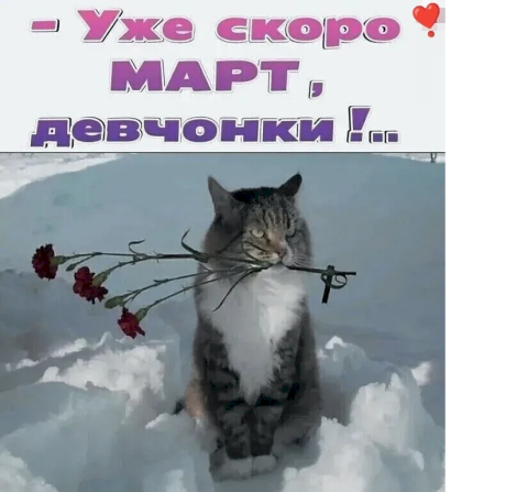 62ca8535.png (791×768)