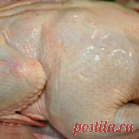 6 блюд из одной курицы: мастер-класс домашней экономии