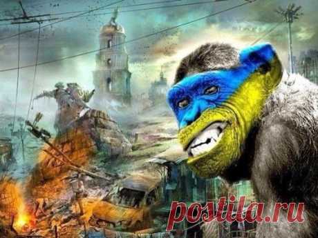 А.Роджерс: Вы, панове «патриоты Украины» – цепные псы англосаксов !