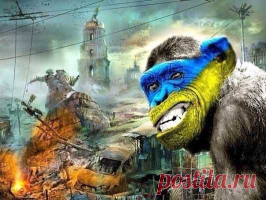 А.Роджерс: Вы, панове «патриоты Украины» – цепные псы англосаксов !