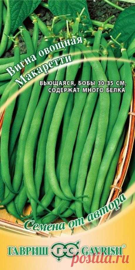 Семена. Вигна &quot;Макаретти&quot; (10 штук)
Очень урожайная культура со спаржевыми бобами, с высокой питательной ценностью.