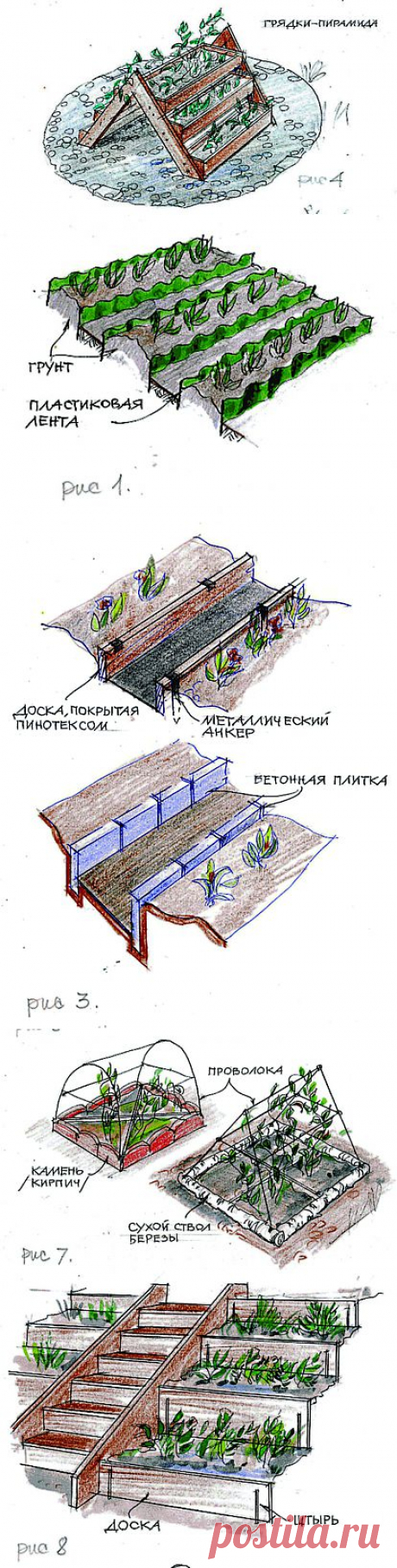 Украшаем огород необычными грядками | 6 соток
