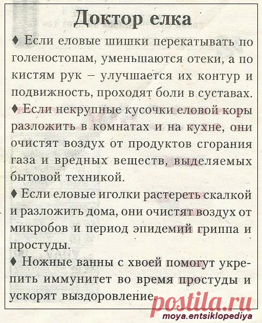 Доктор елка
