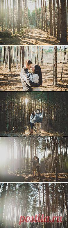 Солнце сквозь деревья: годовщина Александра и Кирилла - WeddyWood