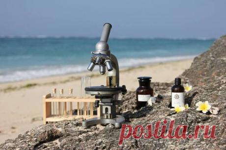 Антивозрастной косметики как таковой не бывает. Вся правда о косметике Я уже давно консультирую своих русских подруг на тему «как выбрать косметическое средство». Обычно я не знаю, что делать в том или ином случае, при такой-то или такой коже, но я знаю какие косметическ…