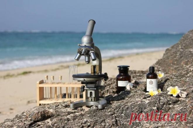 Антивозрастной косметики как таковой не бывает. Вся правда о косметике Я уже давно консультирую своих русских подруг на тему «как выбрать косметическое средство». Обычно я не знаю, что делать в том или ином случае, при такой-то или такой коже, но я знаю какие косметическ…