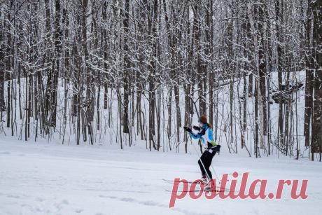 Как выбрать беговые лыжи: рассказывает профессиональный биатлонист
Беговые лыжи — один из лучших кардиотренажеров в истории человечества. Они избавляют от лишних кг, тонизируют мышцы, развивают дыхательную и сердечно-сосудистую системы. Как выбрать лыжи? Раньше этот вопрос существовал один универсальный ответ: подходящая тебе по размеру лыжа должна упираться острым концом в середину ладони...
Читай дальше на сайте. Жми подробнее ➡