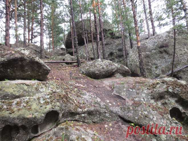 Чем ни кемпинг?