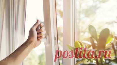 Россиянам объяснили, как часто нужно проветривать комнату. Оптимально проветривать комнату три — пять раз в день по пять — десять минут. Проветривать нужно утром после сна, посоветовала в беседе с RT заведующая кафедрой ветеринарно-санитарной экспертизы и биологической безопасности Университета РОСБИОТЕХ Асият Абдуллаева. Читать далее
