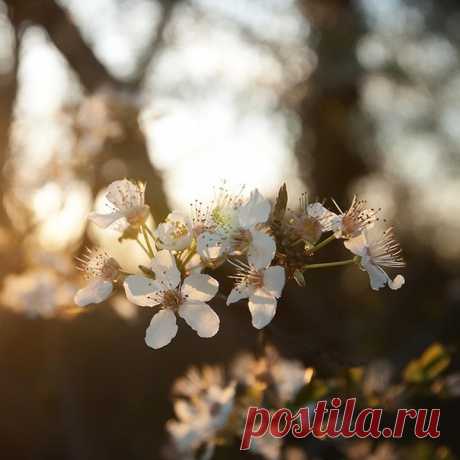 Как же я люблю простых людей... простых в общении... простых во всём... Людей, которые не боятся выглядеть глупыми... не боятся ляпнуть херню... С такими людьми ты сам раскрываешься... потому что понимаешь, что тебе не перед кем тут выпендриваться... БУДЬТЕ ПРОЩЕ дорогие мои...