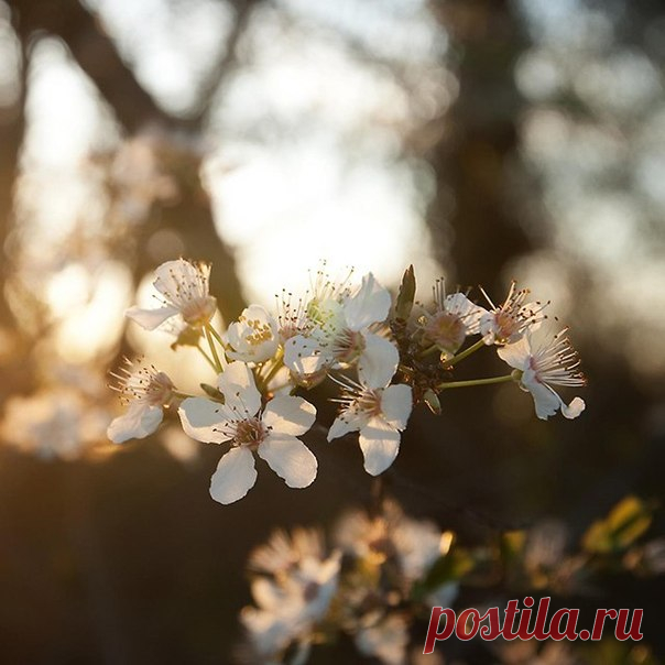 Как же я люблю простых людей... простых в общении... простых во всём... Людей, которые не боятся выглядеть глупыми... не боятся ляпнуть херню... С такими людьми ты сам раскрываешься... потому что понимаешь, что тебе не перед кем тут выпендриваться... БУДЬТЕ ПРОЩЕ дорогие мои...