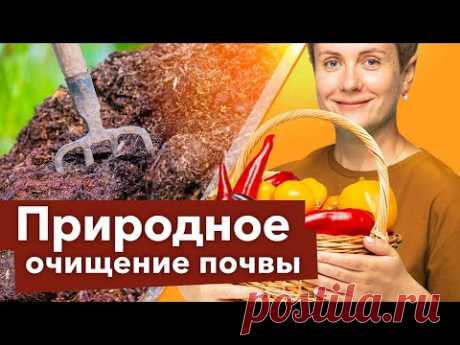 САМЫЙ ПРОСТОЙ СПОСОБ ОБЕЗЗАРАЗИТЬ ПОЧВУ ДОСТУПНЫЙ ВСЕМ!