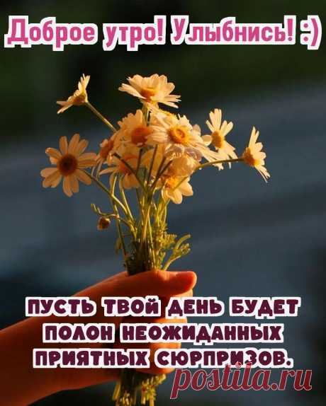 С Добрым утром женщине