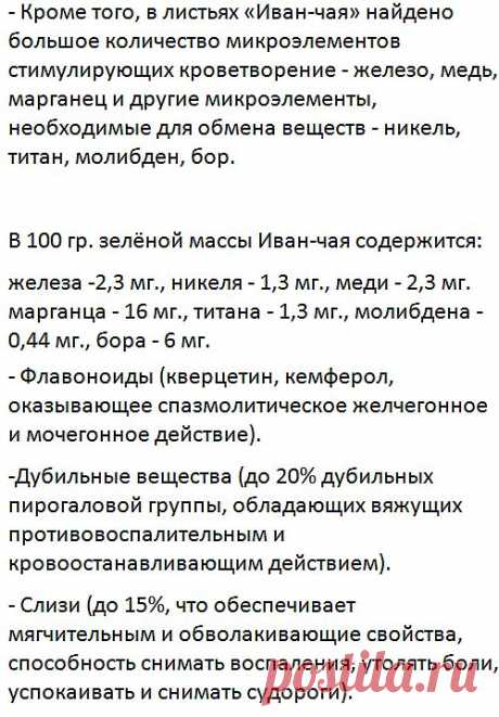 Иван-Чай (Кипрей)
