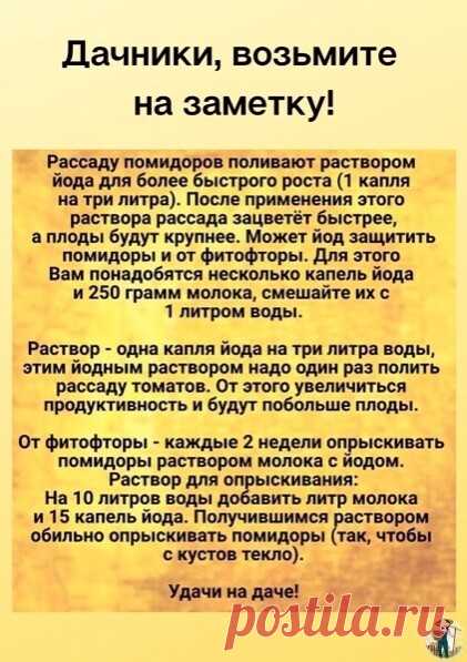 РАСТВОР ДЛЯ ТОМАТОВ.
