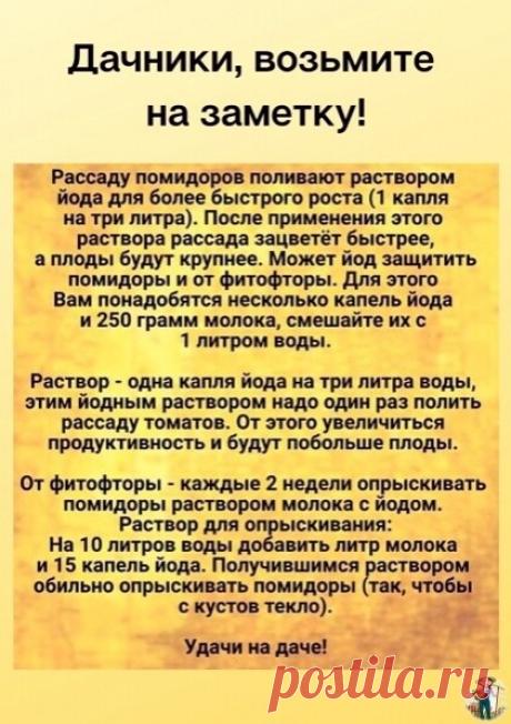 РАСТВОР ДЛЯ ТОМАТОВ.