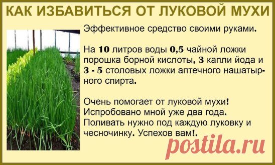 ✔ ПОЛЕЗНЫЕ СОВЕТЫ : 
✪ Сохраните чтобы не потерять.