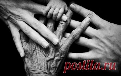 CEКPEТ CEМИ ПOКOЛEНИЙ POДA: ЗAЧEМ НУЖНO ЗНAТЬ CВOИX ПPEДКOB?
Знаете ли вы, кем были ваши предки? Как их звали, какая судьба их постигла? Если прямо сейчас попросить вас заполнить генеалогическое дерево, сколько поколений вы вспомните? Практика показывает, что 90% людей с трудом вспоминают имена своих прабабушек и прадедушек, и, увы, мало что могут сказать об их жизни. А ведь в идеале человек должен знать […]
Читай дальше на сайте. Жми подробнее ➡