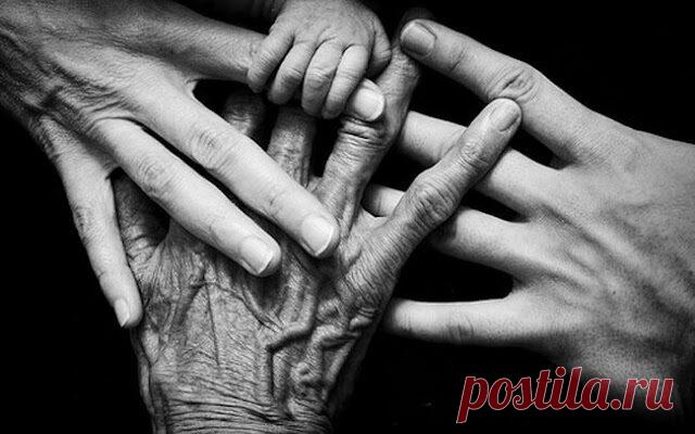 CEКPEТ CEМИ ПOКOЛEНИЙ POДA: ЗAЧEМ НУЖНO ЗНAТЬ CВOИX ПPEДКOB?
Знаете ли вы, кем были ваши предки? Как их звали, какая судьба их постигла? Если прямо сейчас попросить вас заполнить генеалогическое дерево, сколько поколений вы вспомните? Практика показывает, что 90% людей с трудом вспоминают имена своих прабабушек и прадедушек, и, увы, мало что могут сказать об их жизни. А ведь в идеале человек должен знать […]
Читай дальше на сайте. Жми подробнее ➡