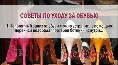 (55) Одноклассники